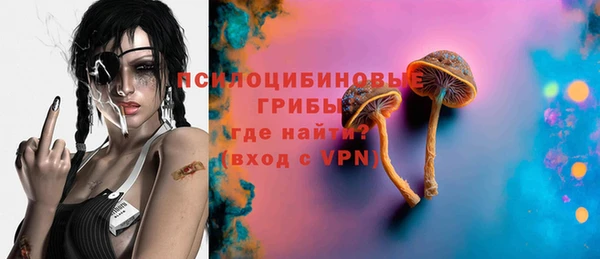 молекула духа Кинешма