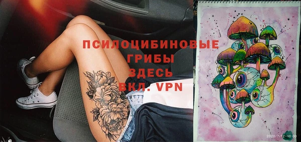 PSILOCYBIN Киреевск
