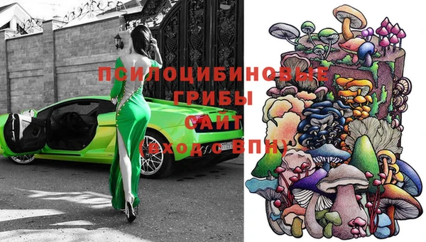 гидропоника Карталы