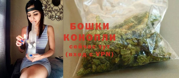 молекула духа Кинешма