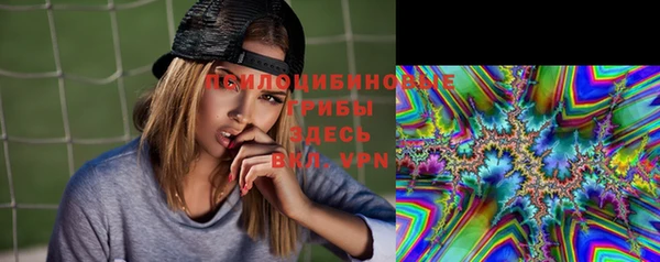 прущий лед Вязьма