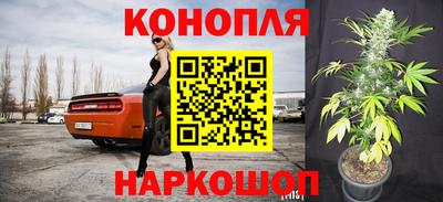 стафф Беслан