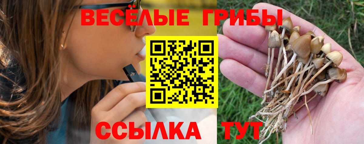 Галлюциногенные грибы ЛСД Моршанск