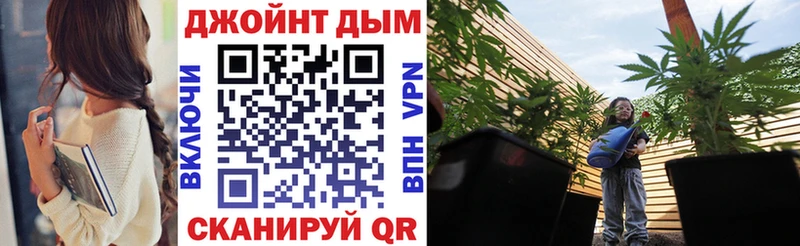 Бошки Шишки планчик Моршанск